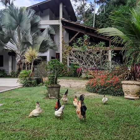 ペネドCasa Na Florestaアパートメント エクステリア 写真