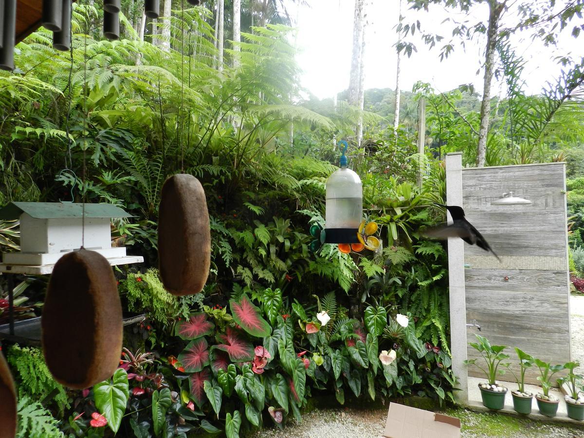 ペネドCasa Na Florestaアパートメント エクステリア 写真